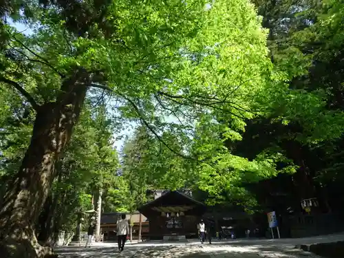 諏訪大社下社秋宮(長野県)