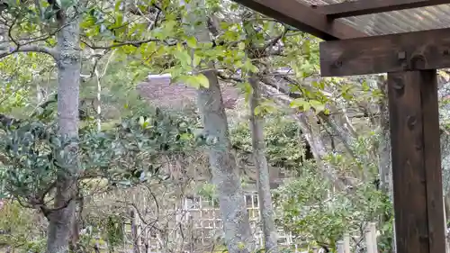 仁和寺(京都府)