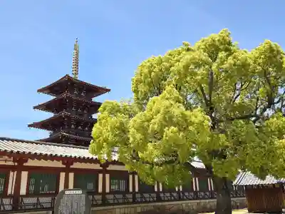 四天王寺(大阪府)