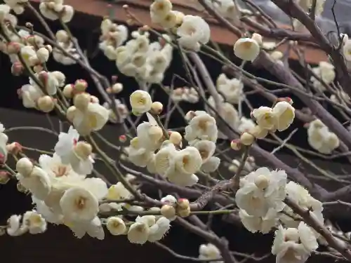 妙法寺(大阪府)