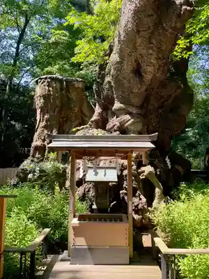 來宮神社(静岡県)