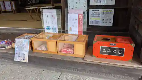 富丘八幡神社のおみくじ