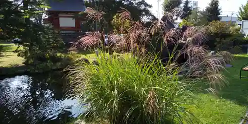 北海道護國神社の自然