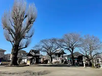 壬生寺(栃木県)