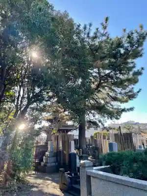 本光寺(東京都)