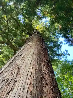洲原神社(岐阜県)