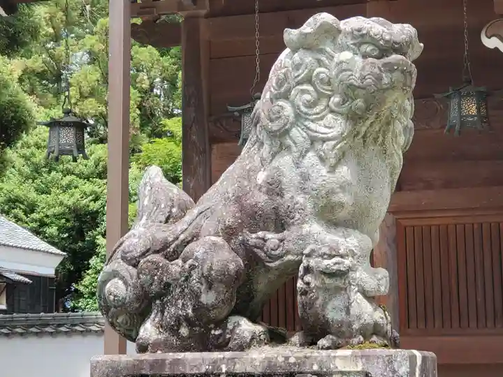 八幡宮(八幡町)の狛犬