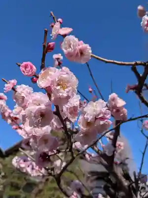 瑞円寺(東京都)