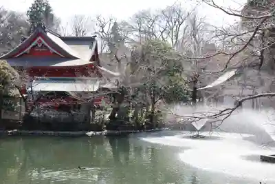 井の頭弁財天(大盛寺)(東京都)
