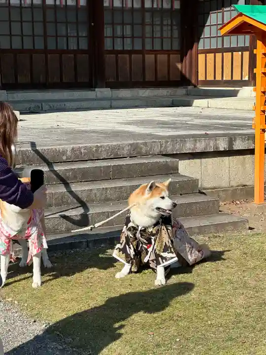 群馬県護国神社(群馬県)