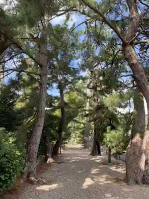 熊野大社(島根県)