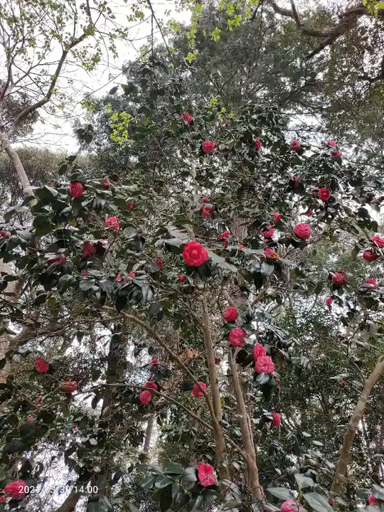 息栖神社の自然