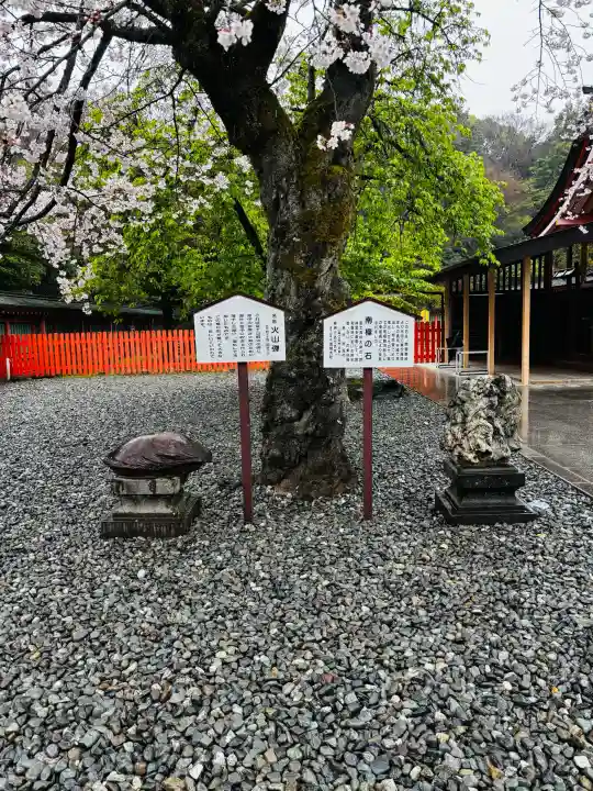 富士山本宮浅間大社の{uncategorized: "未分類", other: "その他", undefined: "問題あり", building: "その他建物", grave: "お墓", sacred_gate: "鳥居", guardian: "狛犬", statue: "像", buddha: "仏像", history: "歴史", nature: "自然", garden: "庭園", animal: "動物", pagoda: "塔", temizu: "手水舎", mountain_gate: "山門・神門", sanctuary: "本殿・本堂", subordinate: "末社・摂社", art: "芸術", scenery: "景色", jizo: "地蔵", ema: "絵馬", goshuin: "御朱印", omikuji: "おみくじ", items: "授与品その他", amulet: "お守り", goshuincho: "御朱印帳", eats: "食事", festival: "お祭り", votive_dance: "神楽", shichigosan: "七五三参", wedding: "結婚式", experience: "体験その他", initially: "初詣", around: "周辺", anti_infection: "感染症対策"}