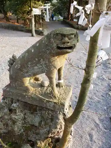 温泉神社の狛犬