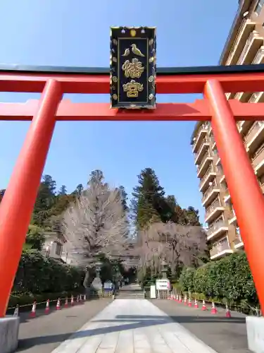 大崎八幡宮の{uncategorized: "未分類", other: "その他", undefined: "問題あり", building: "その他建物", grave: "お墓", sacred_gate: "鳥居", guardian: "狛犬", statue: "像", buddha: "仏像", history: "歴史", nature: "自然", garden: "庭園", animal: "動物", pagoda: "塔", temizu: "手水舎", mountain_gate: "山門・神門", sanctuary: "本殿・本堂", subordinate: "末社・摂社", art: "芸術", scenery: "景色", jizo: "地蔵", ema: "絵馬", goshuin: "御朱印", omikuji: "おみくじ", items: "授与品その他", amulet: "お守り", goshuincho: "御朱印帳", eats: "食事", festival: "お祭り", votive_dance: "神楽", shichigosan: "七五三参", wedding: "結婚式", experience: "体験その他", initially: "初詣", around: "周辺", anti_infection: "感染症対策"}