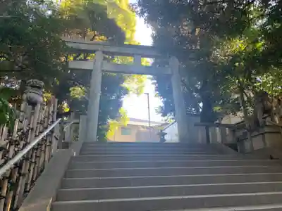渋谷氷川神社の鳥居