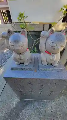 今戸神社の狛犬