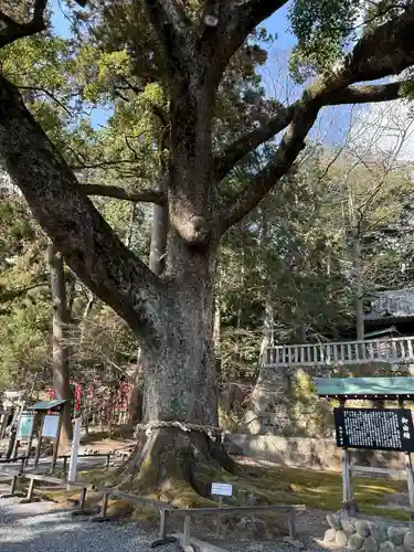 事任八幡宮(静岡県)