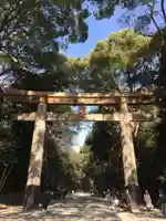 明治神宮の鳥居