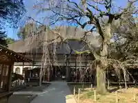 茂林寺(群馬県)