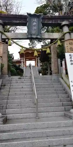 坂井神社の鳥居