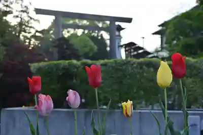 伊勢山皇大神宮(神奈川県)