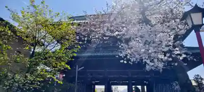 法華経寺(千葉県)