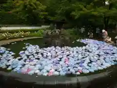 久安寺の庭園