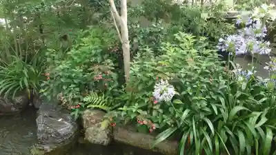 藤森神社(京都府)
