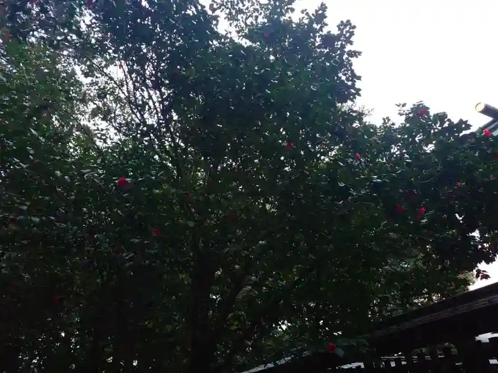 速谷神社(広島県)