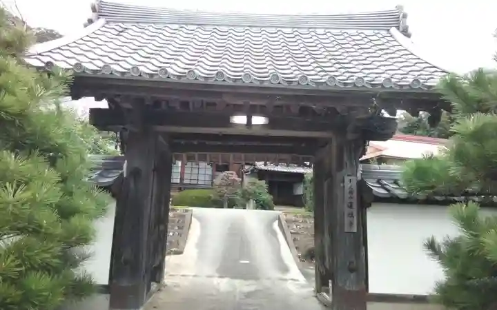 蓮照寺の御朱印