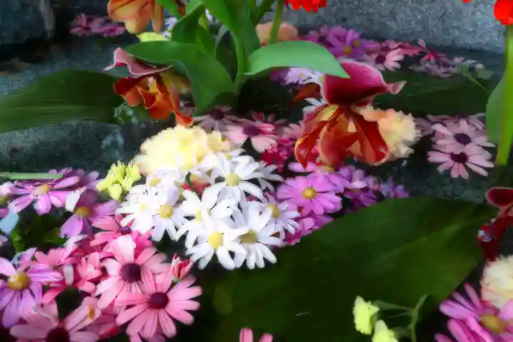 三津厳島神社の手水舎