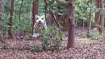 明治神宮の狛犬