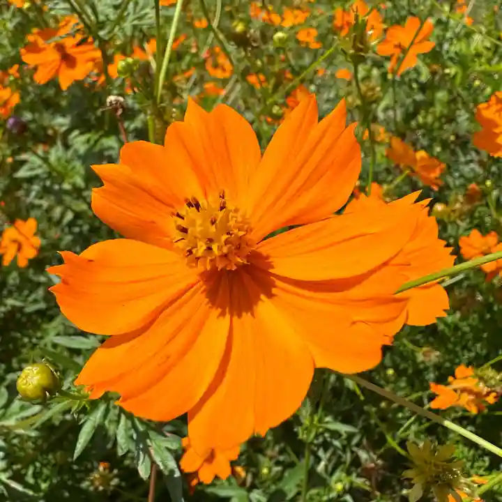 豊景神社(福島県)