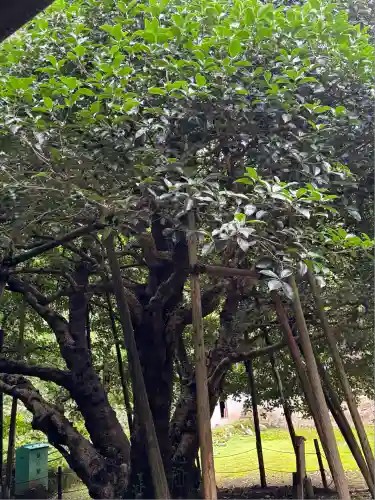 種月寺(新潟県)