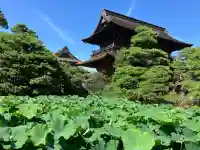 善光寺(長野県)