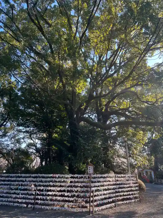 米之宮浅間神社の自然