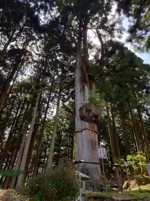 身延山奥之院思親閣(山梨県)