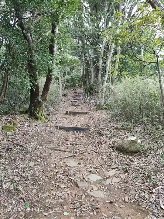 伊豆山神社の自然