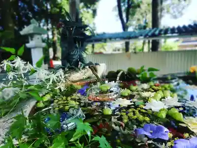 立志神社の手水舎