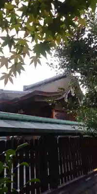 和田神社の本殿・本堂