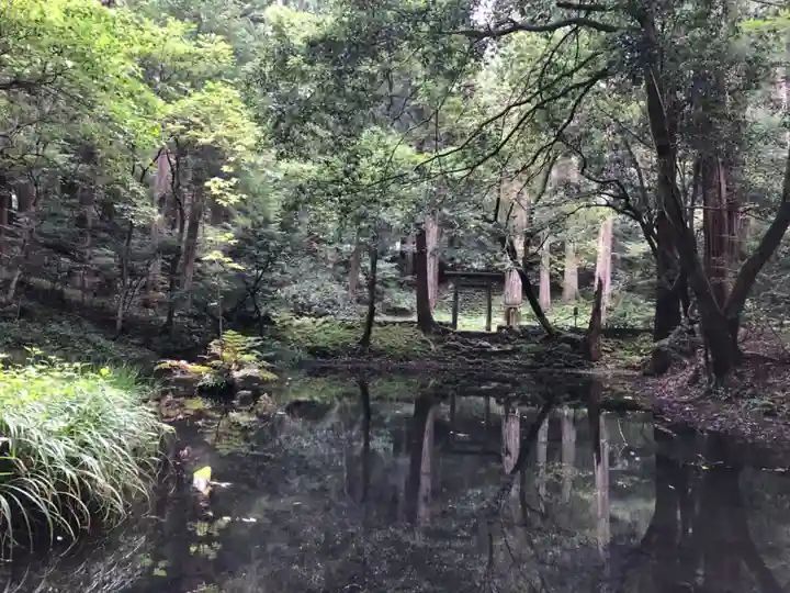 平泉寺白山神社(福井県)