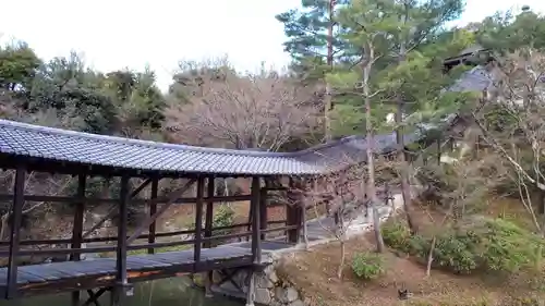 高台寺（高台寿聖禅寺・高臺寺）(京都府)