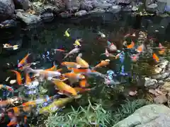 秩父神社(埼玉県)