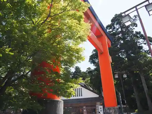 箱根神社の鳥居