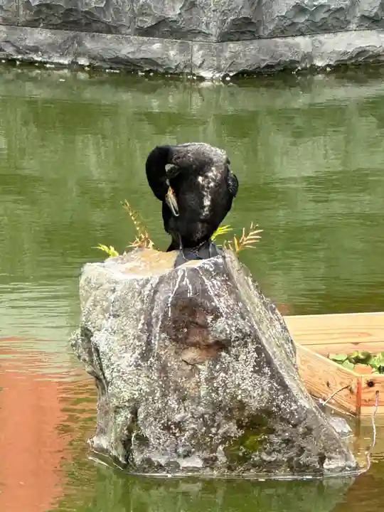 亀戸天神社(東京都)