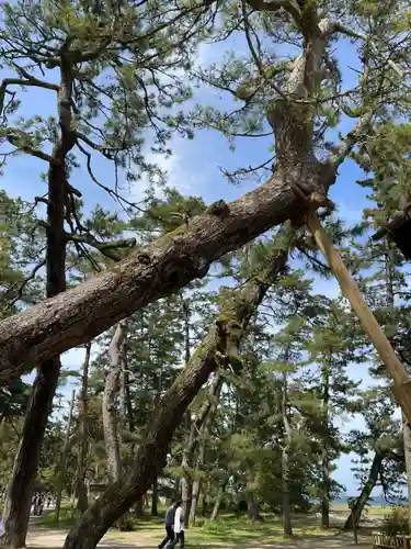 天橋立神社(京都府)