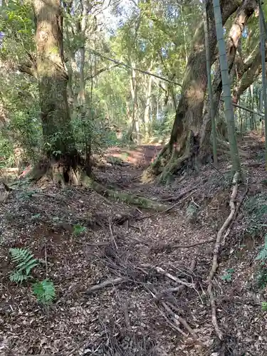 小川神社の自然