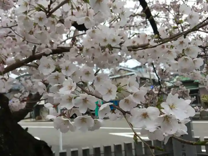 春日神社の自然