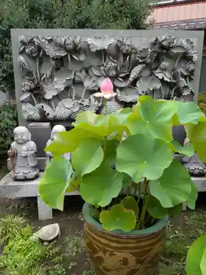 長善寺(東京都)